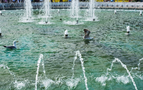 Een Water Fontein Besprenkelend Water Het Uitzicht — Stockfoto