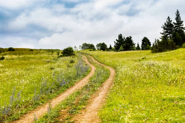 Görünüşte yürümek için yürüyüş yolu