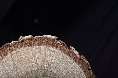 Ahşap dokusu arka planı için kullanılan küçük bir tahta parçası