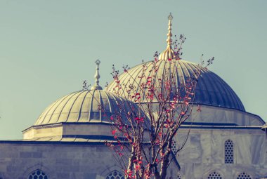İstanbul, Türkiye 'de Osmanlı mimarisinde kubbenin dış görünümü