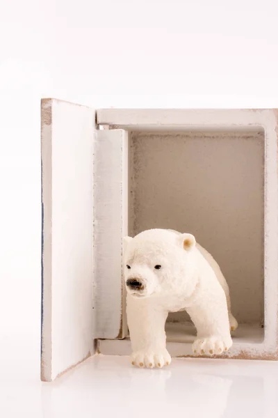 Caja Madera Blanca Oso Polar Sobre Fondo Blanco — Foto de Stock