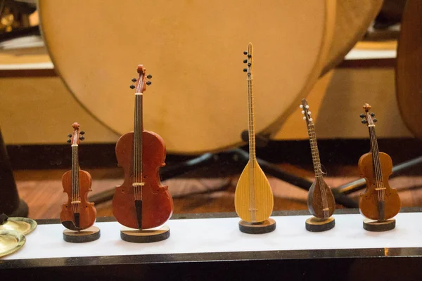 Reihe Von Modellen Von Musikinstrumenten Aus Holz — Stockfoto