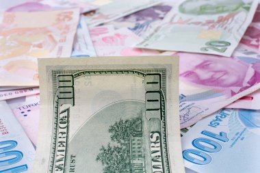 Amerikan Doları banknot ve Turksh Lirası banknot beyaz arka plan üzerinde yan yana