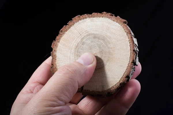 Small piece of cut wood log in hand background