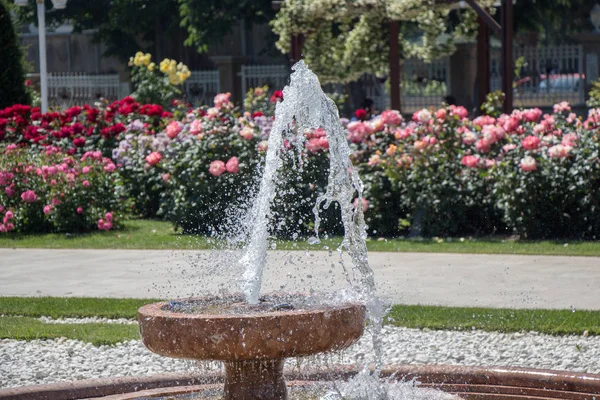 Agua Brotando Fuente Jardín Rosas —  Fotos de Stock