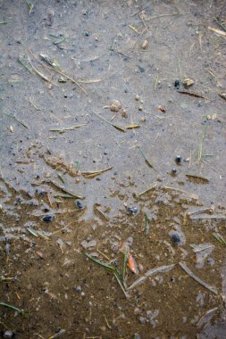 Kışın zeminde ince buz tabakası