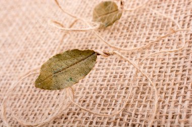 Yeşil yaprakları ve keten tuval üzerine iplik makinası