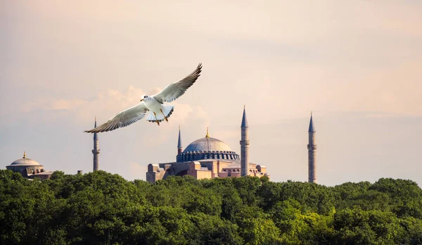Hagia Sophia Světoznámá Památka Byzantské Architektury — Stock fotografie