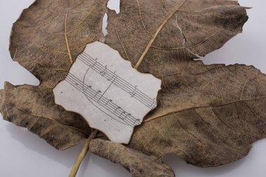 Bir kuru yaprak kağıt ile makro görünümü ile nota sonbahar sezon