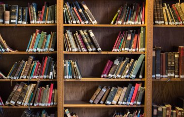 Eski Türk Osmanlı el yazısı kitapları ile Bookshelf