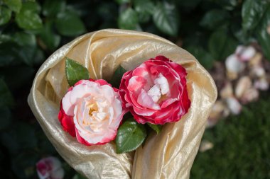 Bahar bahçesinde çiçek açan güzel güller