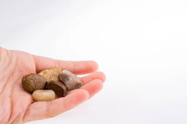 Hand Houden Van Kleine Kiezelsteentjes Witte Achtergrond — Stockfoto