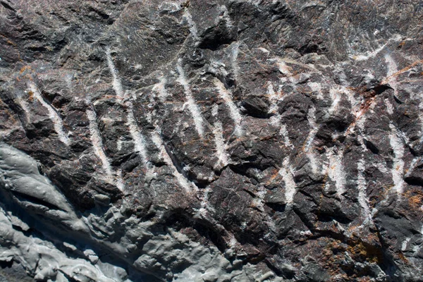 Arkaplan ve arkaplan doku ayrıntıları