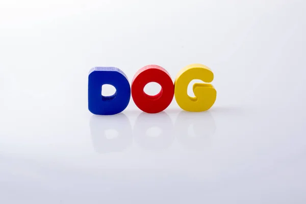 Parola Dog Scritta Con Blocchi Lettere Colorati Bianco — Foto Stock