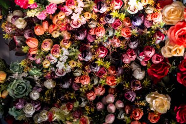 Renkli suni çiçeklerden yapılmış çiçek sanatı