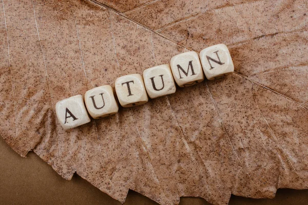 Podzimní Nebo Podzimní Skladba Nebo Koncepce Slovo Podzim — Stock fotografie