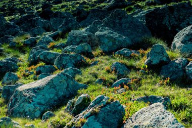 Kayalar ve taşlardan yapılan soyut arkaplan dokusu