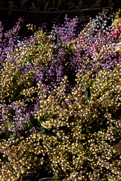 Flores Artificiais Falsas Coloridas Vista — Fotografia de Stock