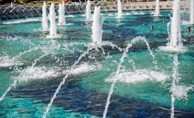 Çeşmeler parktaki bir havuzda köpüklü su fışkırtıyor.