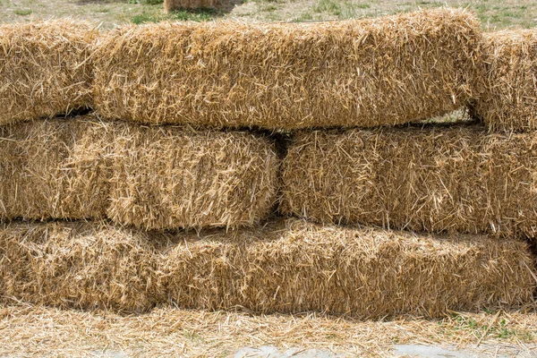 Hay Bales Stacks Outdoors — Stock Photo, Image