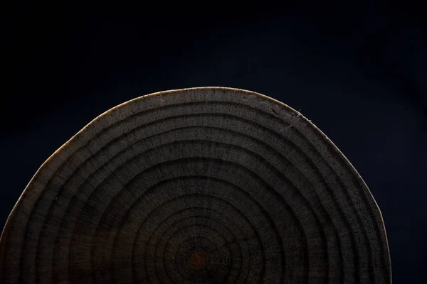 Piece of cut wood log texture as background