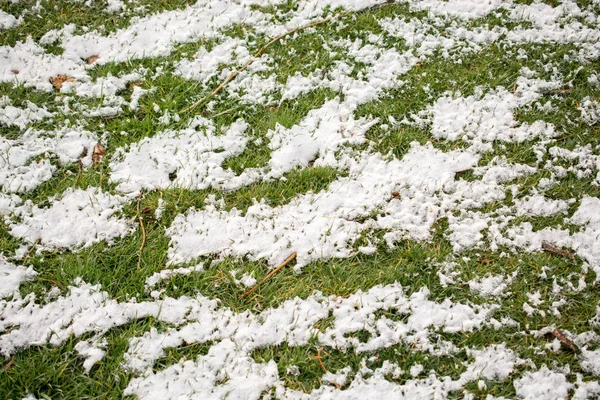Vit Snö Grönt Gräs Den Kalla Vintern — Stockfoto