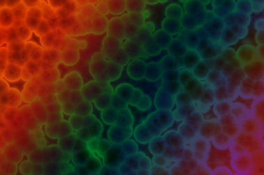 Bakteri hücresinin şekli: cocci, bacilli, spirilla bakteri arka planı