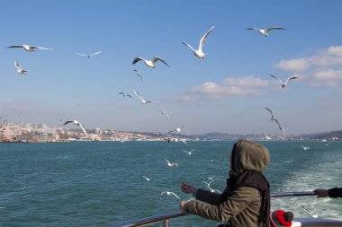 Martılar deniz sular gökte uçuyor