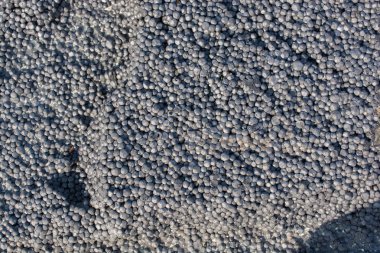 Arkaplan ve arkaplan doku ayrıntıları