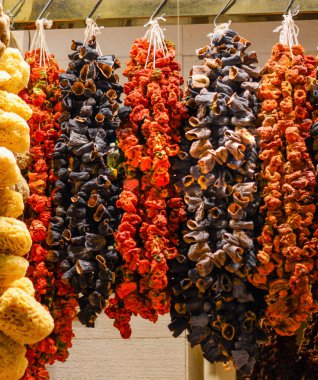 Manzarada kurumuş kırmızı biber ve patlıcan asılı.