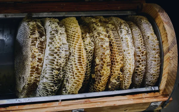 甘い蜂蜜と丸い蜂の巣からのハニカム — ストック写真