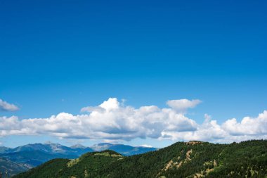 Artvin dağlarından manzaralı orman manzaralı dağlar.