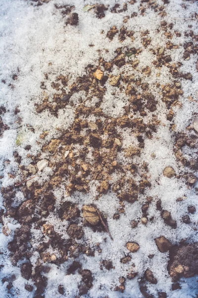 Lager Vit Snö Marken Vintersäsongen — Stockfoto