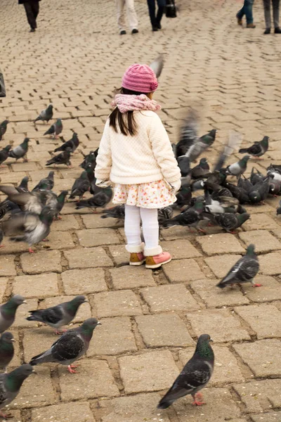 Little Girl Grey Pigeons Live Large Groups Urban Environment — Stock Photo, Image