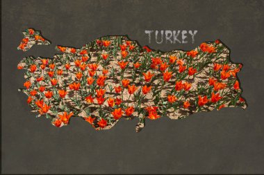 Kabaca Seviyelendirilmiş Haritası Türkiye Lale Bahçe dolgulu