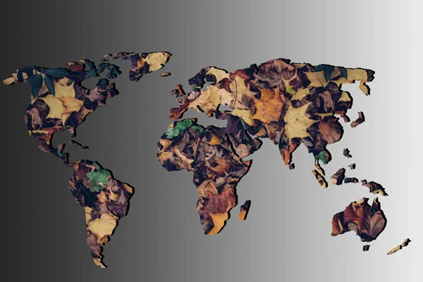 Carte du monde grossièrement esquissée avec remplissage sec des feuilles d'automne — Photo