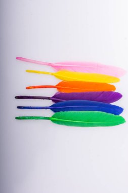  Stüdyo fotoğraf çekim kuş tüyleri renkli doku arka plan olarak 