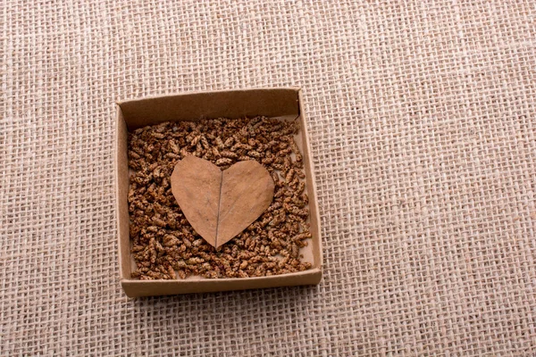 Brown leaves form heart shape on brown background