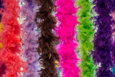 Güzel kuş tüyleri dekoratif amaçlar için