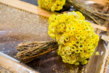 Renkli kuru çiçekler el şaşırtıcı