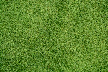Yeşil çim yeşil arka plan olarak