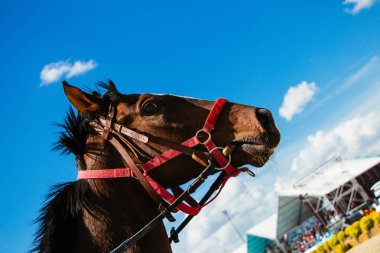  ile kısmi koşum takımı