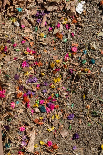 Coloreadas flores de colores en el suelo —  Fotos de Stock