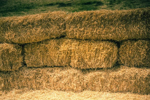 Balles de foin empilées à l'extérieur — Photo