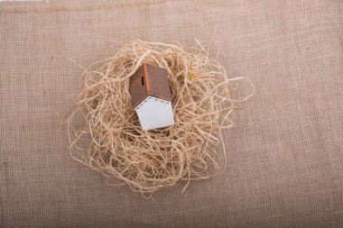 House tuval arka plan üzerine yerleştirilen