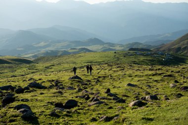 Arkadaşlar bir gezi alarak 