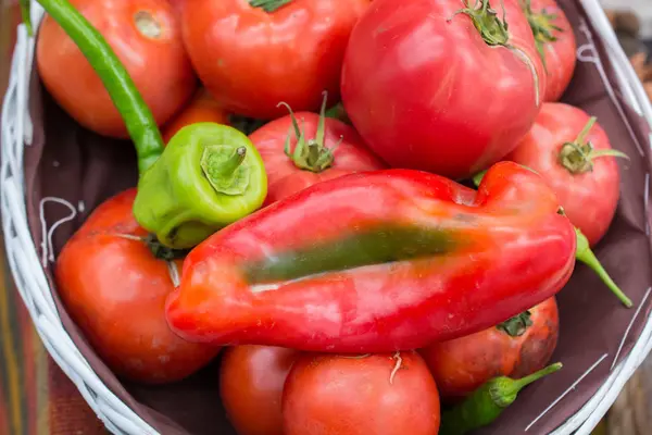 Planta de pimenta vermelha encontrada no mercado — Fotografia de Stock