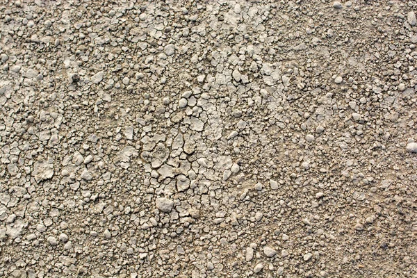 Cor marrom terra enlameada rachada seca — Fotografia de Stock