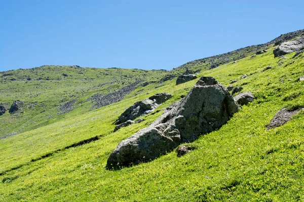 Pastos verdes en las montañas durante la temporada de verano —  Fotos de Stock