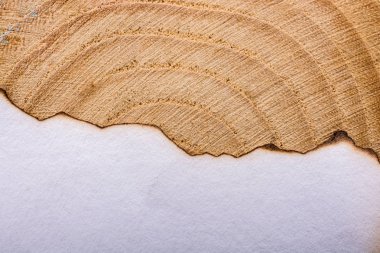 yanık kenarlı kağıt 